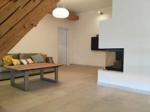 Living room with fireplace in Munich